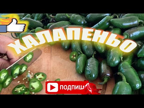 Видео: ХаЛапеньо Самый Легкий и Быстрый Рецепт/Лучший РеЦепт Халапеньо /Маринованный Хрустящий Халапеньо /