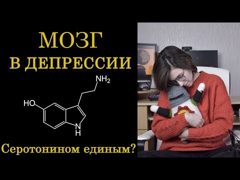 Видео: Мозг в депрессии: как возникает депрессия и работают антидепрессанты с точки зрения нейробиологии?