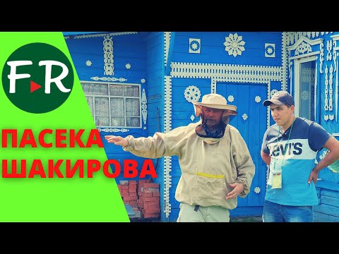 Видео: Пчеловоды Татарстана научились договариваться с фермерами и аграриями, чтобы не было потрав пчёл.