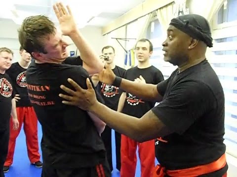 Видео: Cамооборона. Уроки Панантукан  и Арнис, Эскрима. Александр Плаксин.