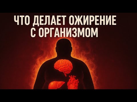 Видео: Что делает ожирение с организмом — правда, о которой молчат!!!