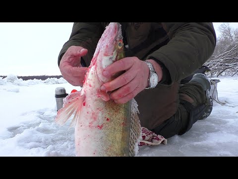 Видео: Первый лед на Оби и первая удача!