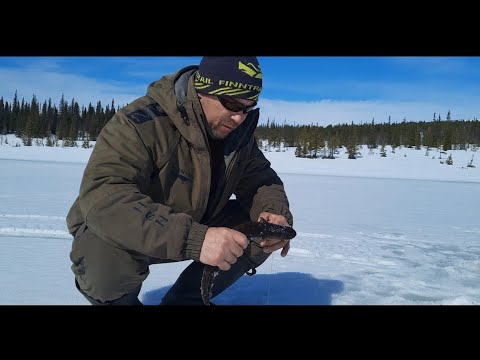 Видео: В тайгу на рыбалку по последнему льду.