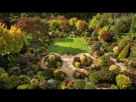 Видео: вопрос о ядах, вопрос дозировки