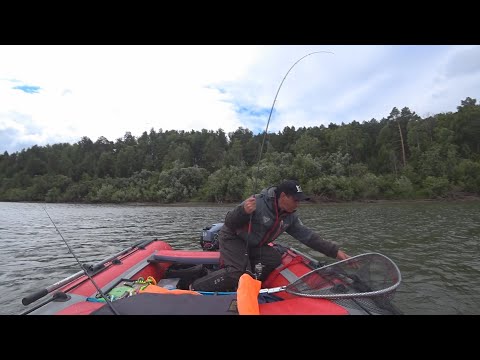 Видео: Щучий перекрёсток!!! Откуда её здесь столько??? Рыбалка на спиннинг,джиг.