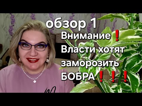 Видео: Внимание❗️Власти хотят заморозить БОБРА❗️❗️❗️