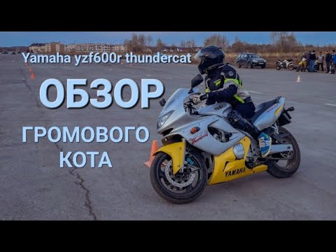 Видео: Yamaha yzf600r thundercat  [ОБЗОР КОТА]