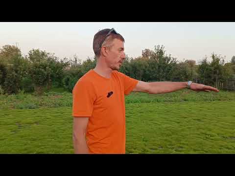 Видео: Масштабный Газон из Мшанки