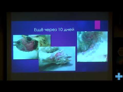 Видео: Дифференциальный диагноз что стоит иметь ввиду  Клинические случаи