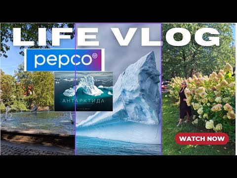 Видео: Что творится в Pepco? 🤯 + Поход в кино на Птушкина | Влог из Ольштына