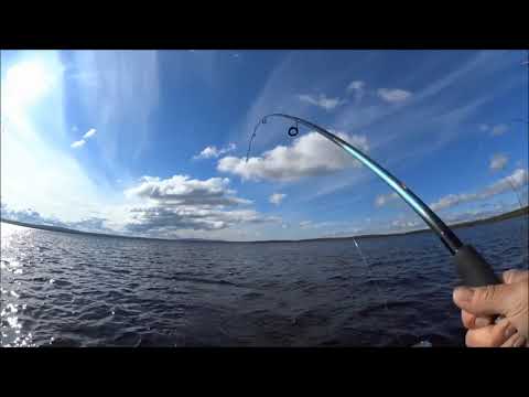 Видео: Ловозеро 2021.   фильм 3.