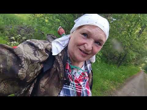 Видео: Рыбалка в Троицу на Шистоме.