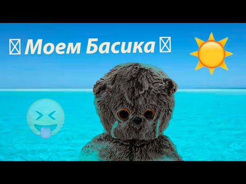 Видео: Как помыть Басика? | Моем Басика | Вечерний влог с Басиком