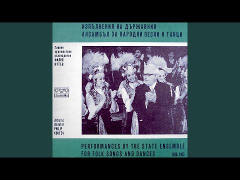 Видео: Лале ли си зюмбюл ли си