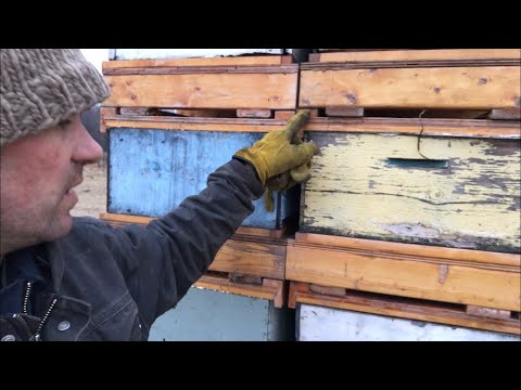 Видео: Внедрение нового дизайна поддонов