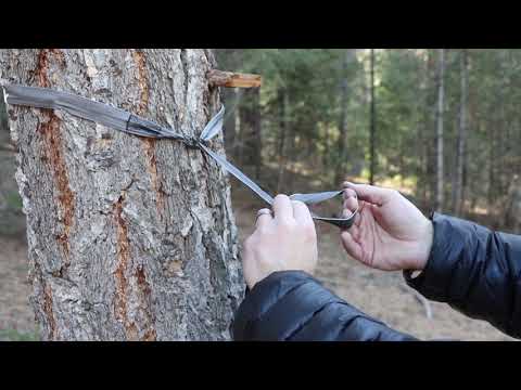 Видео: Подвешивание Вупи
