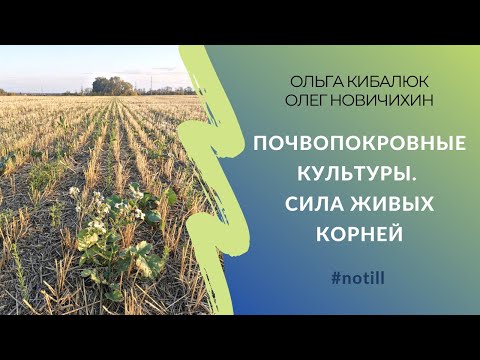 Видео: Выращивание почвопокровных культуры. Живые корни | Ольга Кибалюк (Томашова), Олег Новичихин