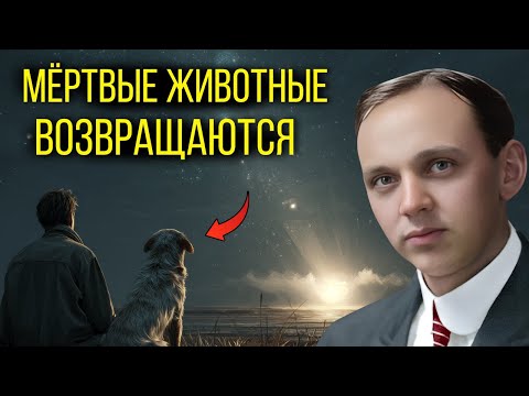 Видео: Возвращаются ли умершие питомцы? Шокирующее откровение Эдгара Кейси