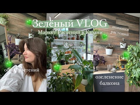 Видео: Маркет Растений | гуляю и покупаю растения, озеленяю балкон || Зелёный VLOG