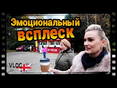 Видео: город Англии- Scarborough! Морские волны 🌊, гуси🪿, белки 🐿️, просто восторг! рецепт - суши торт🍱!