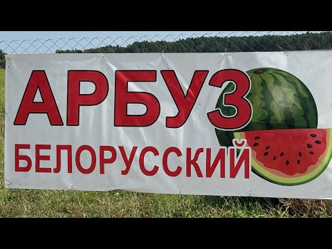 Видео: Арбуз в Беларуси, быль или небыль? Не виноградом единым.