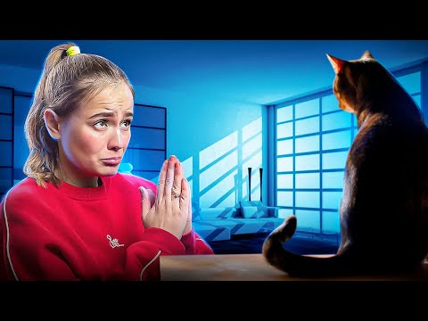 Видео: ЗАБУЛИ КОТА. Пешка