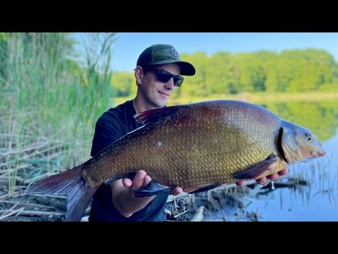 Видео: ОСЬ І ВІН ЛЯЩ - Рибалка на ляща