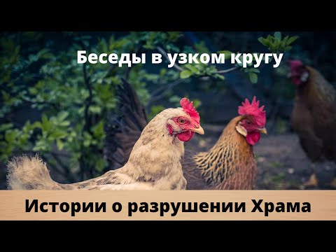 Видео: 9 Ава. Истории о разрушении храма. Беседы в узком кругу.