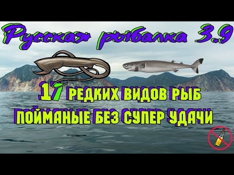 Видео: Русская рыбалка 3.9.   17 Редких видов рыб!