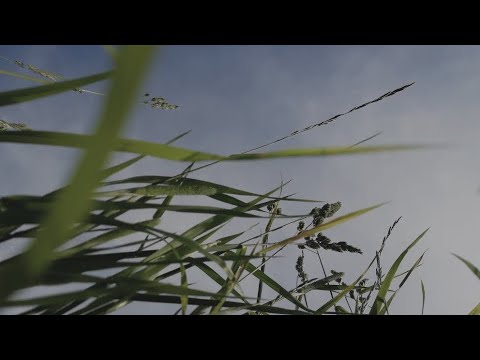 Видео: Белая ночь (speed up) — Виктор Салтыков (Группа Форум)