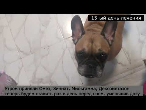 Видео: Грыжа шейного отдела или невралгия? Правильно подобранные лечение! (3 часть)