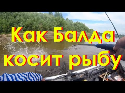 Видео: Как Балда косит рыбу