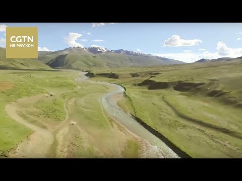 Видео: Сила природы Серия 3 Водный поток Часть 1 [Age 0+]