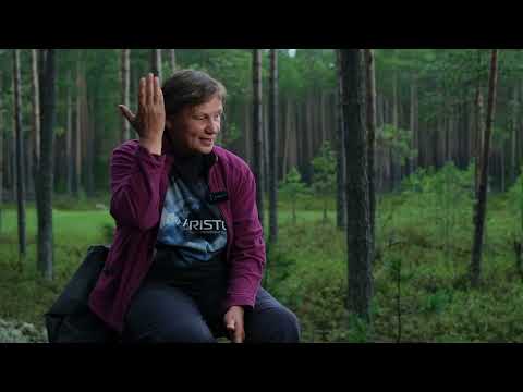 Видео: Что скрывают болота Югры, и зачем их копать?