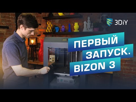 Видео: #ТехПоддержка | Первый запуск 3D принтера Bizon 3 от 3DIY.  Запускаем за 5 шагов