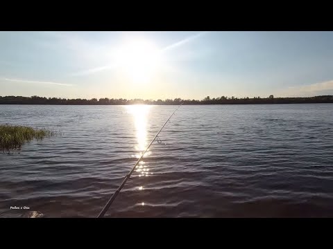 Видео: Спиннинг ДОЮЙ Black Dragon-2,28 м,1-7 гр. .Обзор на рыбалке #МИКРОДЖИГ!