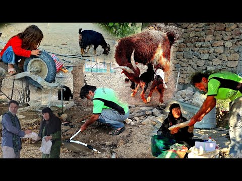 Видео: «Женщине-кочевнице нужна только помощь — Авраам вступает в дело!»