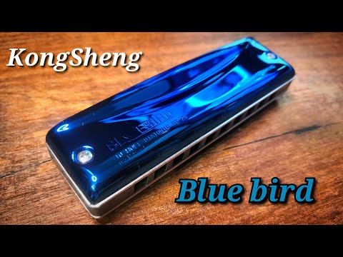 Видео: "Blue bird" Kongsheng обзор.