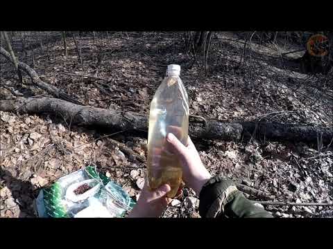 Видео: Квас-Шампанское из березового сока (Будни охотника и рыбака)