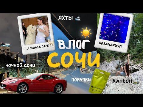 Видео: ВЛОГ ИЗ СОЧИ ☀️: Альпака парк🦙прогулка на яхте🛥️✨каньон и океанариум🪼🐬 | золотое яблоко 🍏