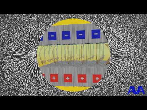 Видео: 1. Электрическое поле. Введение. (русс яз)