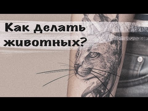 Видео: Полный разбор тату сеанса. Как сделать шерсть, глаза в графике. Белая краска, грейвош, трансфер.