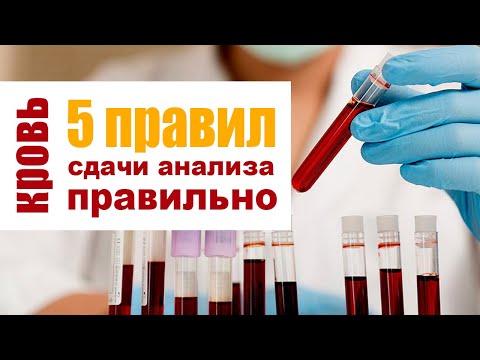 Видео: Сдаем биохимический анализ крови без ошибок. 5 правил подготовки