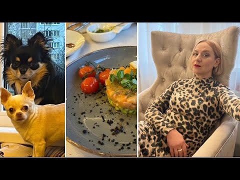 Видео: ВЛОГ - LUX oтдых в Латвии. Сезон шашлыка открыт. У собак новый транспорт. Весна во всю.