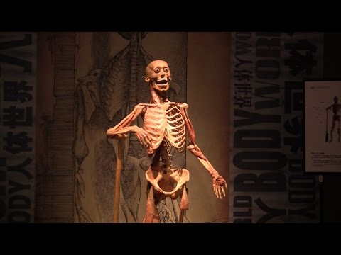 Видео: Китай. Пекин. Далянь. "ПОДНЕБЕСНОЕ ПУТЕШЕСТВИЕ".