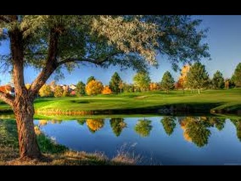 Видео: Хочи Мирзо-ам-022 Саволу чавоби 6