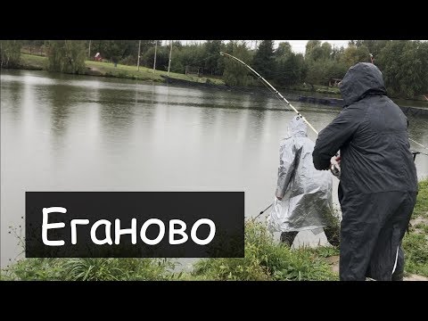 Видео: Рыбалка. Обзор платника Лагуна (Еганово).  Часть 1