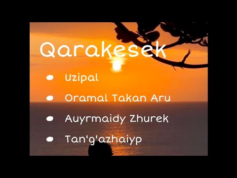 Видео: Qarakesek fan - әндер жинағы часть 1@music-d4t #2024 #qarakesek #music