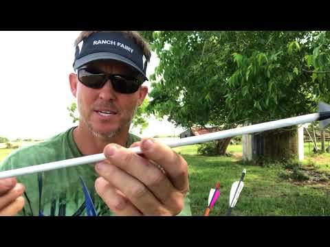 Видео: Лучшая установка стрел для охоты на лося