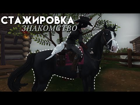 Видео: ЗНАКОМСТВО||СТАЖИРОВКА В ЛЕСНИЧЕСТВЕ||RRP STAR STABLE